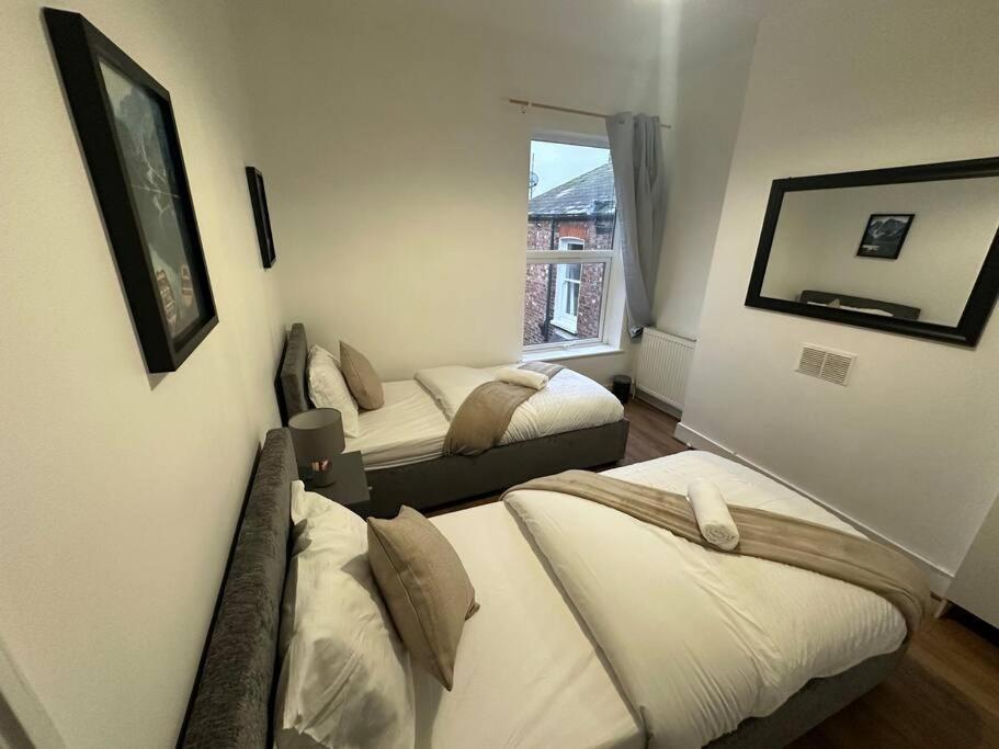 Cosy In